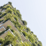 Casas ecológicas del 2019