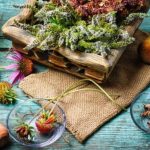 tips para los remedios herbolarios